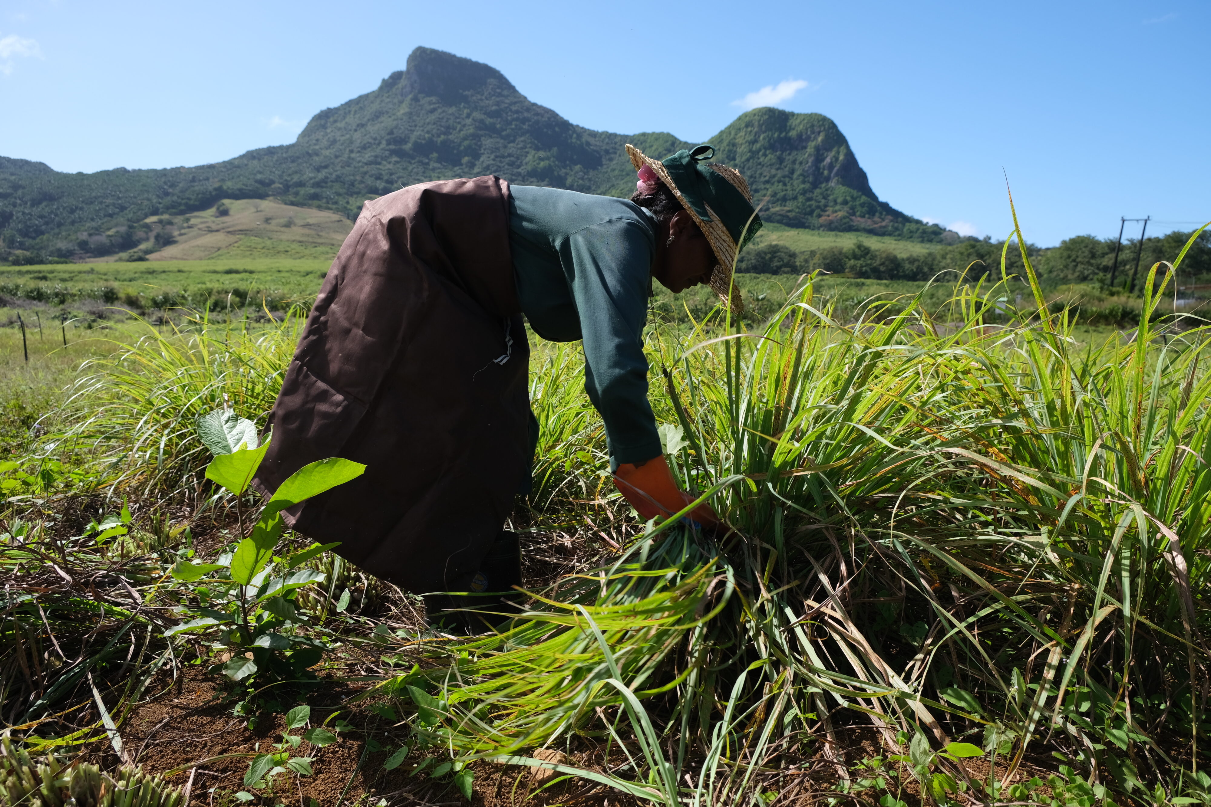 Locally sourced ingredients