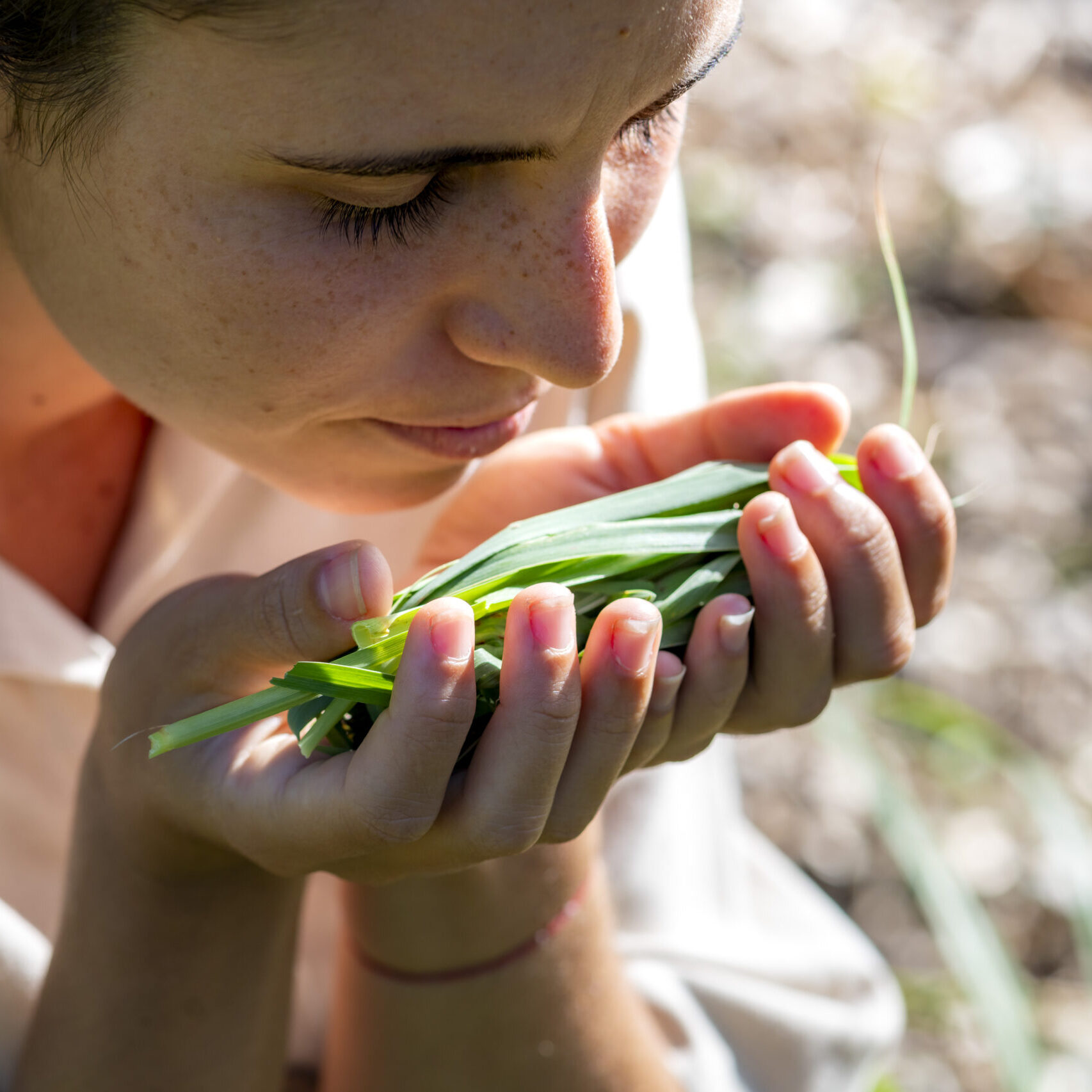 Infusions made with organic ingredients