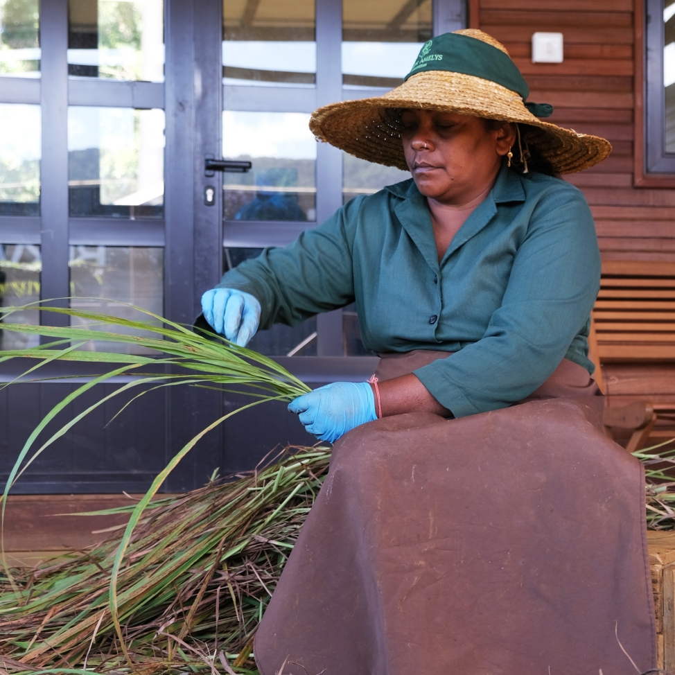 At the heart of the fields : The culture of Mauritian tea