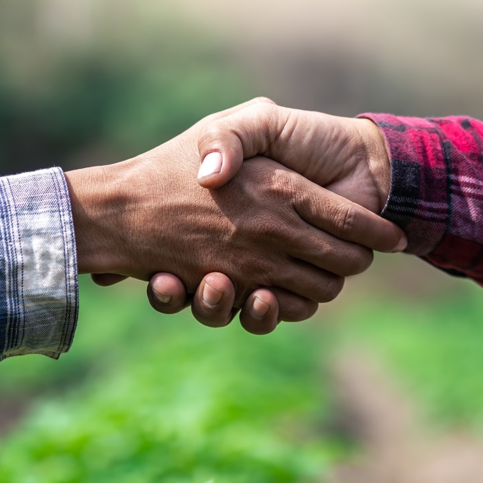 WhatsApp Image 2024 05 24 at 16.05.14