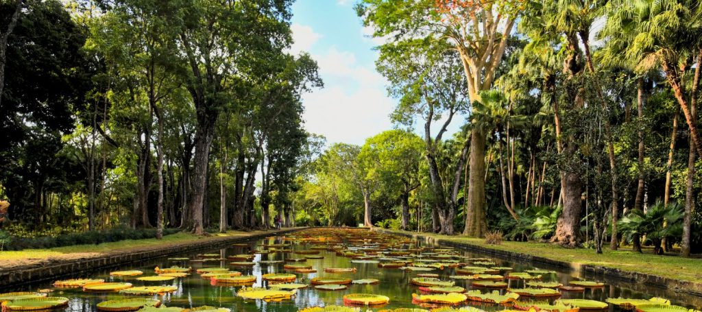 Poivre’s Pamplemousses Garden Poivre’s Pamplemousses Garden