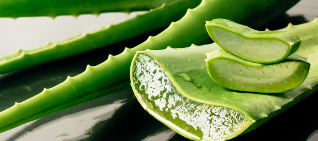 Medicinal plant in mauritius