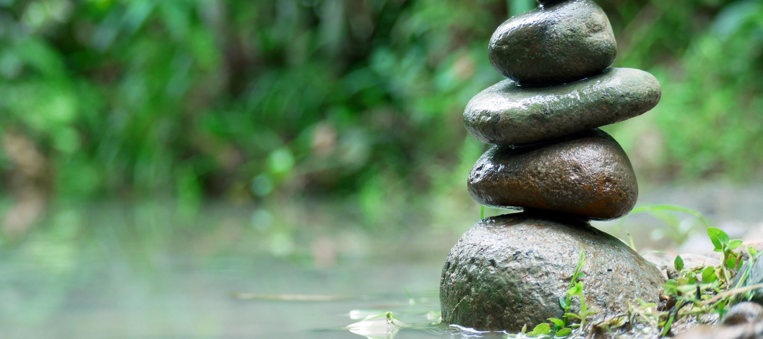 Untitled design 2025 03 14T162923.085